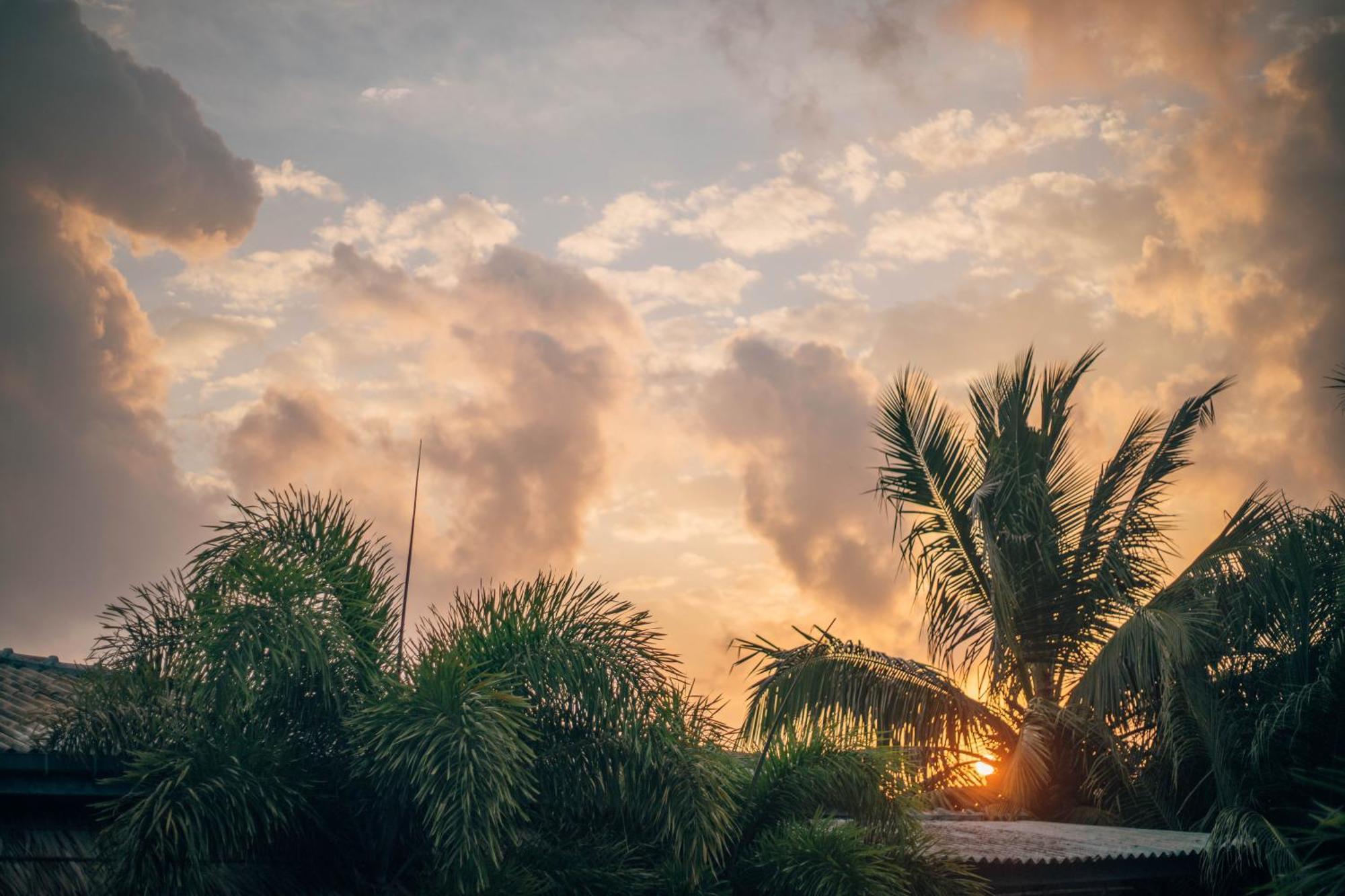 Shell Resort Vịnh Arugam Ngoại thất bức ảnh